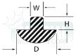 Class 1-A Shape Cross Section